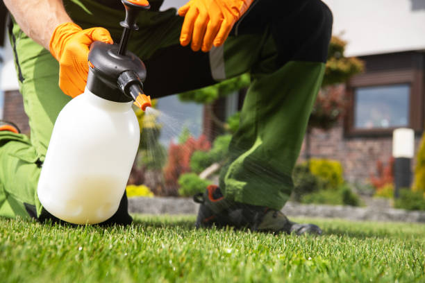 Best Affordable Pest Control Services  in Gypsum, CO