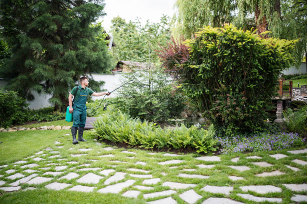 Best Residential Pest Control  in Gypsum, CO