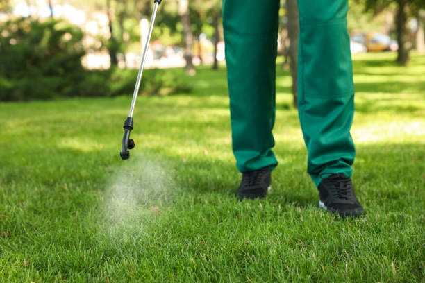 Gypsum, CO Pest Control Company