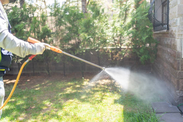 Insect Control in Gypsum, CO