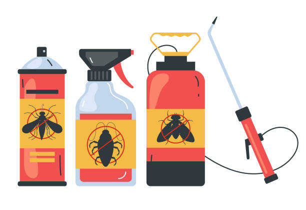 Best Bed Bug Extermination  in Gypsum, CO