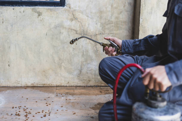 Best Pest Removal Services  in Gypsum, CO