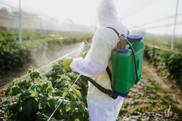  Gypsum, CO Pest Control Pros